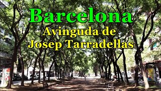 [[SPAIN-BARCELONA]] Walking along Avinguda de Josep Tarradellas