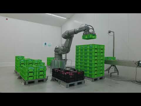 Het werk van Supply Chain Manager: Mario Janssen (Ojah)