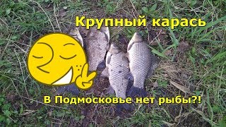 Ловля карася на поплавок в московской области