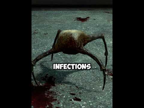 The Real Reason Behind Headcrab Variants | Half-Life 2 Lore