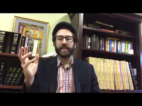 Netziv on the Parsha - Shmot