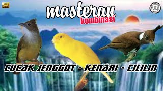 Download lagu Masteran Best Kenari -Cucak Jenggot - Cililin mp3