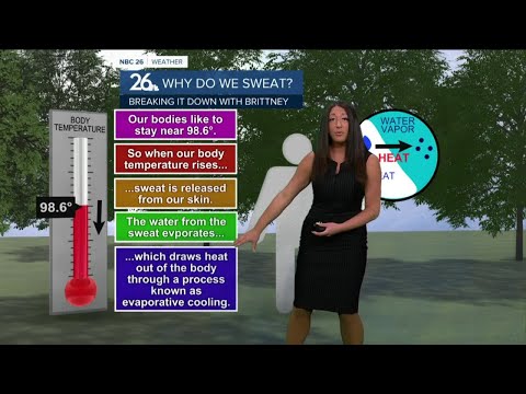 Breaking it Down with Brittney - Why do we Sweat?