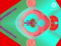 KGB In GummyBees G Major 8