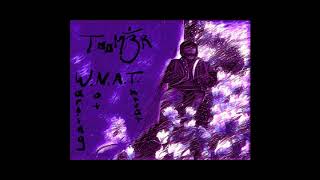 T00M3R - W.N.A.T. [Warning Not A Threat] (Prod. by Neguim.) [Official Audio]