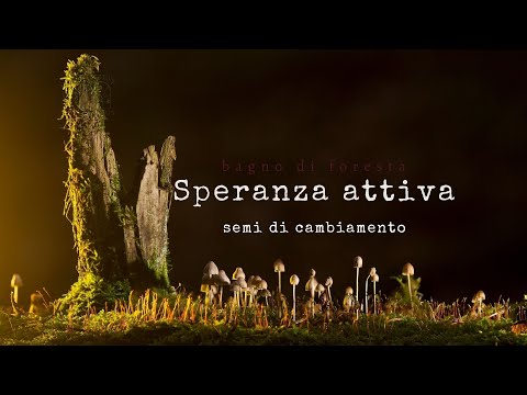 Speranza attiva - semi di cambiamento