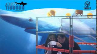 DIA 2 Expo Tiburon56