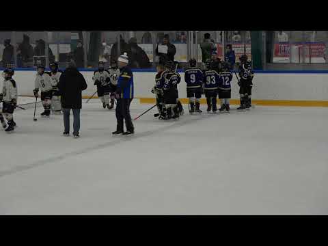 BJR09 Puumat kultamitalien jako