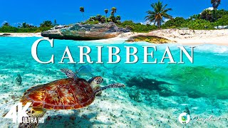 Caribbean 4k - Relaxing Music Along With Beautiful