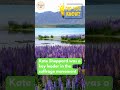 New Zealand S Historic First For Women Facts Travel Didyouknow Top Quiz History Tourist