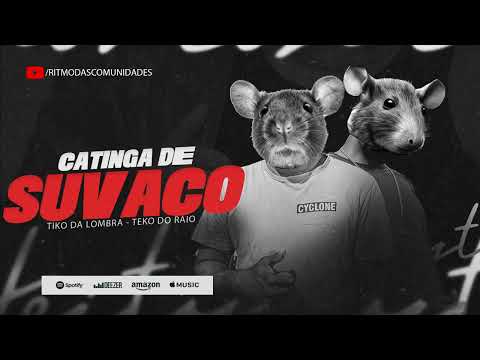 TIKO DA LOMBRA - TEKO DO RAIO - CATINGA DE SUVACO - REMIX BREGA FUNK