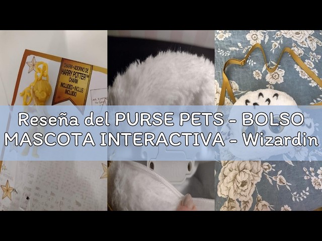Vídeo relacionado con Purse Pets - Bolso Mascota INTERACTIVA - Sanrio Hello Kitty and Friends - Bolso niña y Mascota Interactiva Hello Kitty con más de 30 Sonidos y Reacciones - 6065365 - Juguetes niña 5 años +