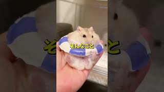 【議論】満員電車でお腹大きめの女性が立ってたら…席譲る？譲らない？