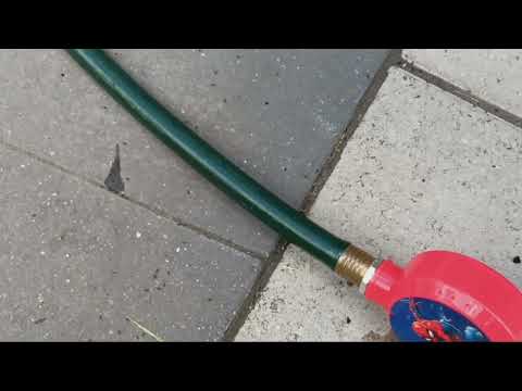 Ants Crawling All Over the Back Patio in...