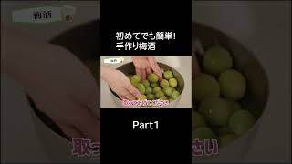 【簡単手作り】梅酒の作り方！失敗しないレシピで丁寧に説明！Part1
