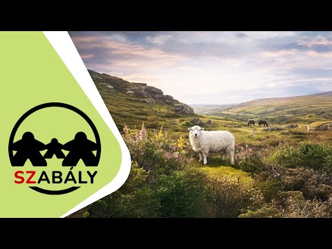 Játékszabály: AZ ERDŐ - DARTMOOR - d3meeples