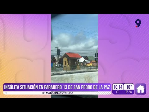 Un paradero frente a una reja: Vecinos de San Pedro denuncian absurdo error en Ruta 160