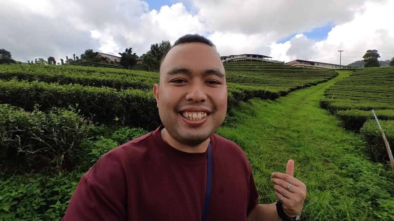 Embark on a visit through the expansive 101 Tea Plantation as a tourist.