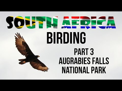 Birding in South Africa Part 3 Augrabies Falls National Park