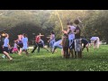Capoeira e da nossa cor!!! 