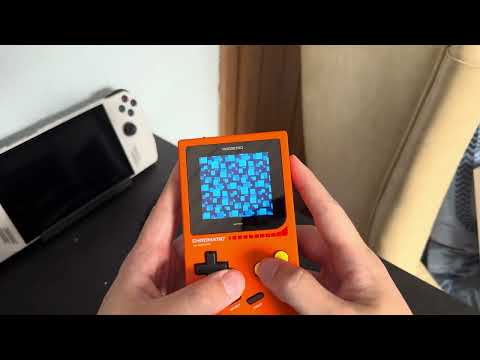 Bug Report: Toki Tori - Ultimate Edition (ModRetro)