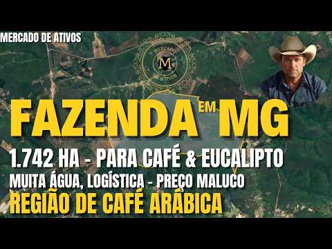 FAZENDA MG 1.742 HÁ  TERRAS ALTA CULTURA ÁGUA LOGÍSTICA EM REGIÃO DE CAFÉ ARÁBICA - MercadodeAtivos