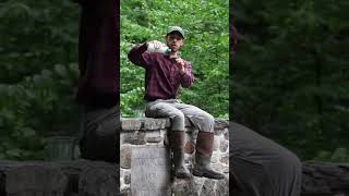 What is a watershed? #nature