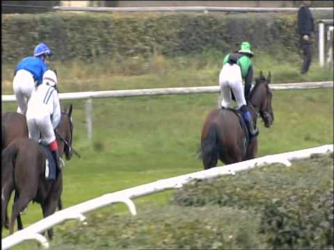 Galopprennbahn Dresden - 06.10.2013 - 2.Rennen