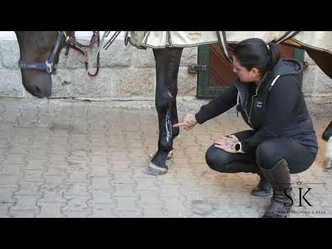 Biomechanik der Vorhand - Woher kommen Sehnenschäden?