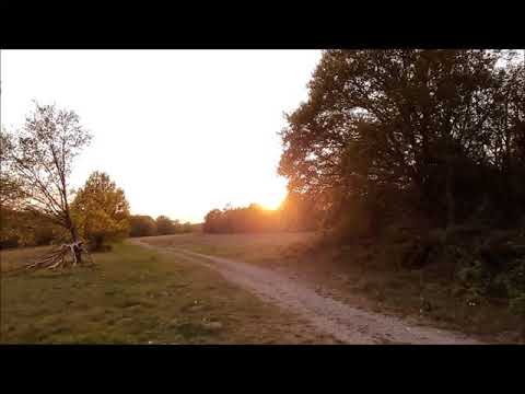 Xöömei, Sygyt, Shrutibox