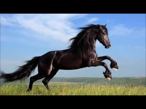 Plutian-   Anubis Original Mix