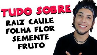 BOTÂNICA - ÓRGÃOS VEGETAIS - Biologia com Patrick Gomes