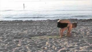 Bhujapidasana - Arm Balance Tutorial - Brickell Hot Yoga - Fred Busch 