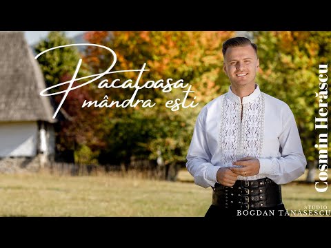 Cosmin Herăscu  Păcătoasă mândră ești