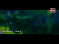 Chinna Poonkuyil Tamil 5 1 Hd Video Song
