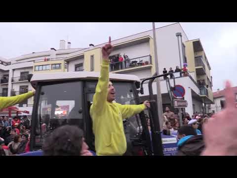 Despique Canas de Senhorim