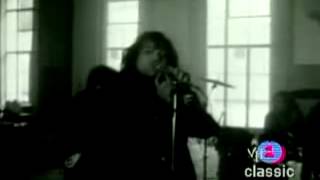 The Fuzztones - Hurt On Hold