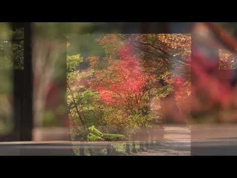 Templo Enjoji (cidade de Nara), um local famoso pelas folhas de outono