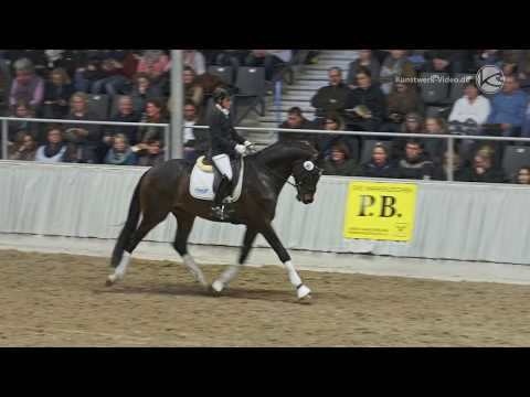 Gestüt Letter Berg Isterberg V. Hengstschau Verden 2018