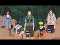 NARUTO SASUKE RECOVERY MISSION EPISODES 107 135 Naruto Rock Lee Resequ Of Sasuke Mission