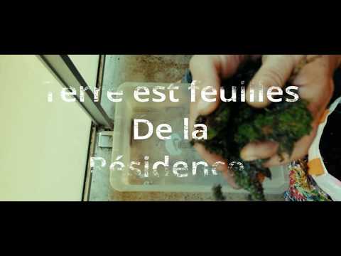 download lagu mp3 mp4 Led Horticole, download lagu Led Horticole gratis, unduh video klip Led Horticole