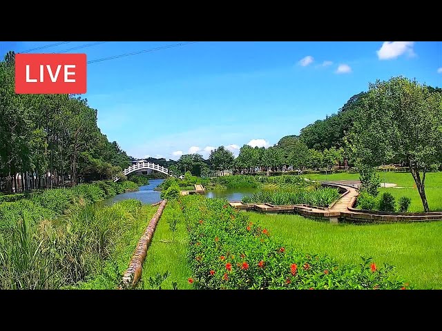 Cihu Memorial Sculpture Park Live Cam 慈湖水岸廣場即時影像 cctv 監視器 即時交通資訊