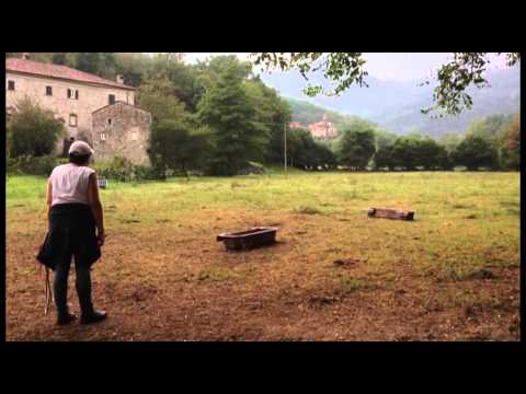 Aberdeen Angus in Liberty-La Virgola