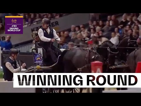 Back to back brilliance from Boyd! 🇦🇺 |  FEI Driving World Cup™ Stuttgart 2025