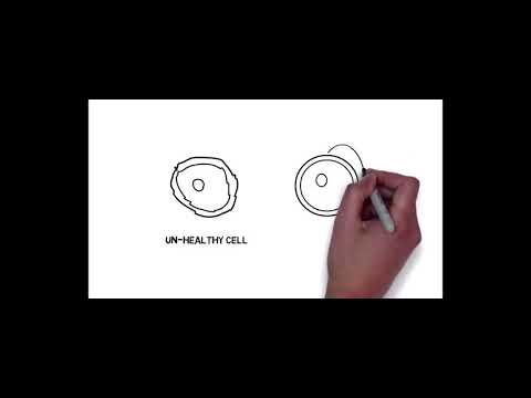 Structured Water [How It Works 2020] Magnetic Fields & Polarity of Water