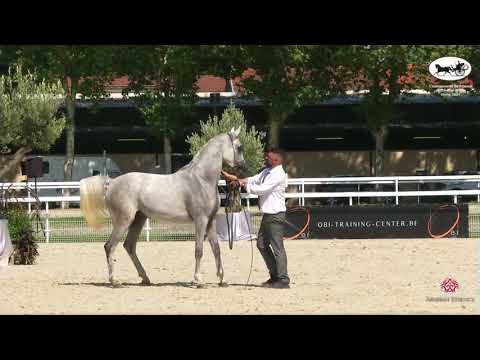 N 61 SPARTACUS DEGACIA