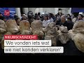 Stormschade Bataviahaven hersteld en Urker betrokken bij vondst oerwalvis | Dit is Flevoland