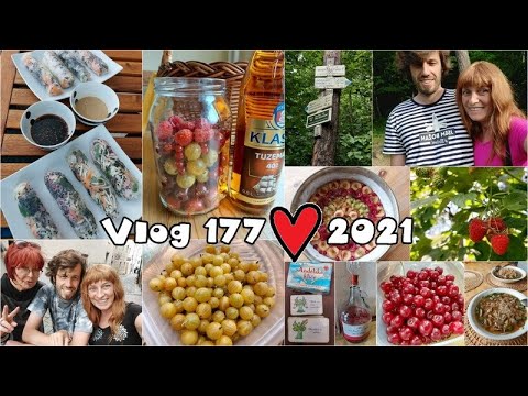Vlog 177/21 - zahrádka, brnění, letní závitky