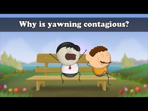 Why is yawning contagious? | #aumsum #kids #science #education #children