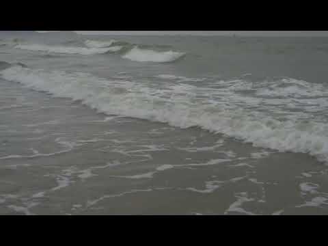 Waves on Saona Island   Relaxing Beach Sounds of the Caribbean Sea For Study, Meditation and Sleep